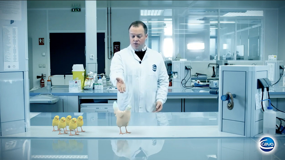 transmune-img-video